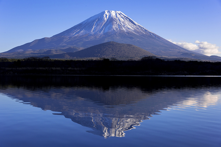 結婚指輪：富士山イメージ