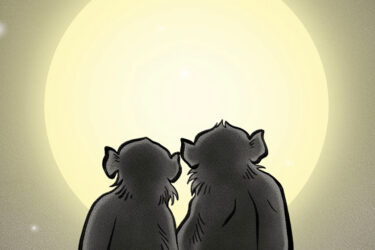 和の結婚指輪作品:集い鳥獣戯画のアニメ動画サムネイル