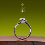 婚約指輪：白藤