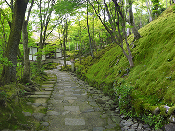 常寂光寺