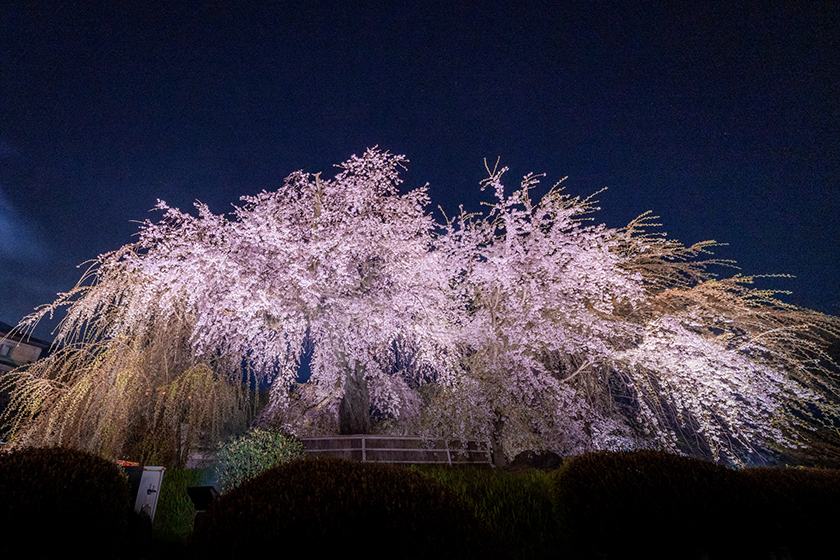 清水・二年阪・三年坂・八坂神社 清水・二年阪・三年坂・八坂神社