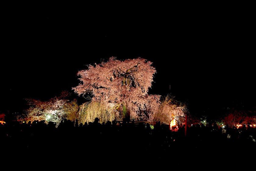 卯月～四月～に京都一泊二日旅行