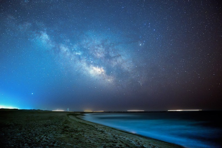 海と星の結婚指輪が人気です