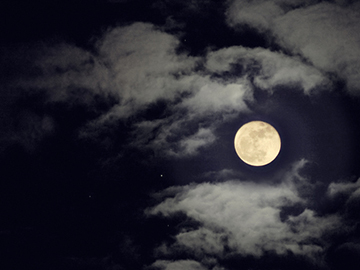 夜空用 夜空用