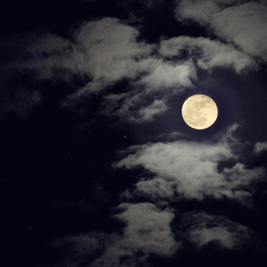 月明りと星明りの中でプロポーズする婚約指輪