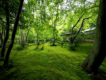 祇王寺