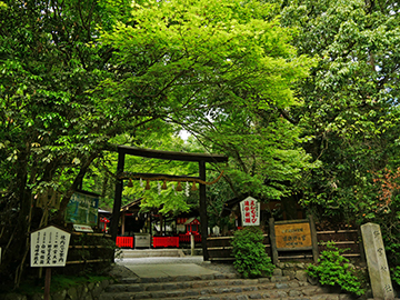 野宮神社