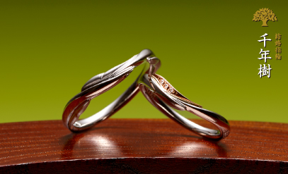結婚指輪作品：千年樹です。