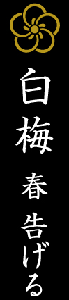 婚約ペンダント：白梅