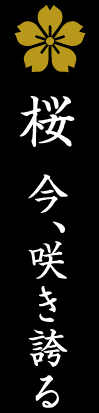 婚約ペンダント：桜