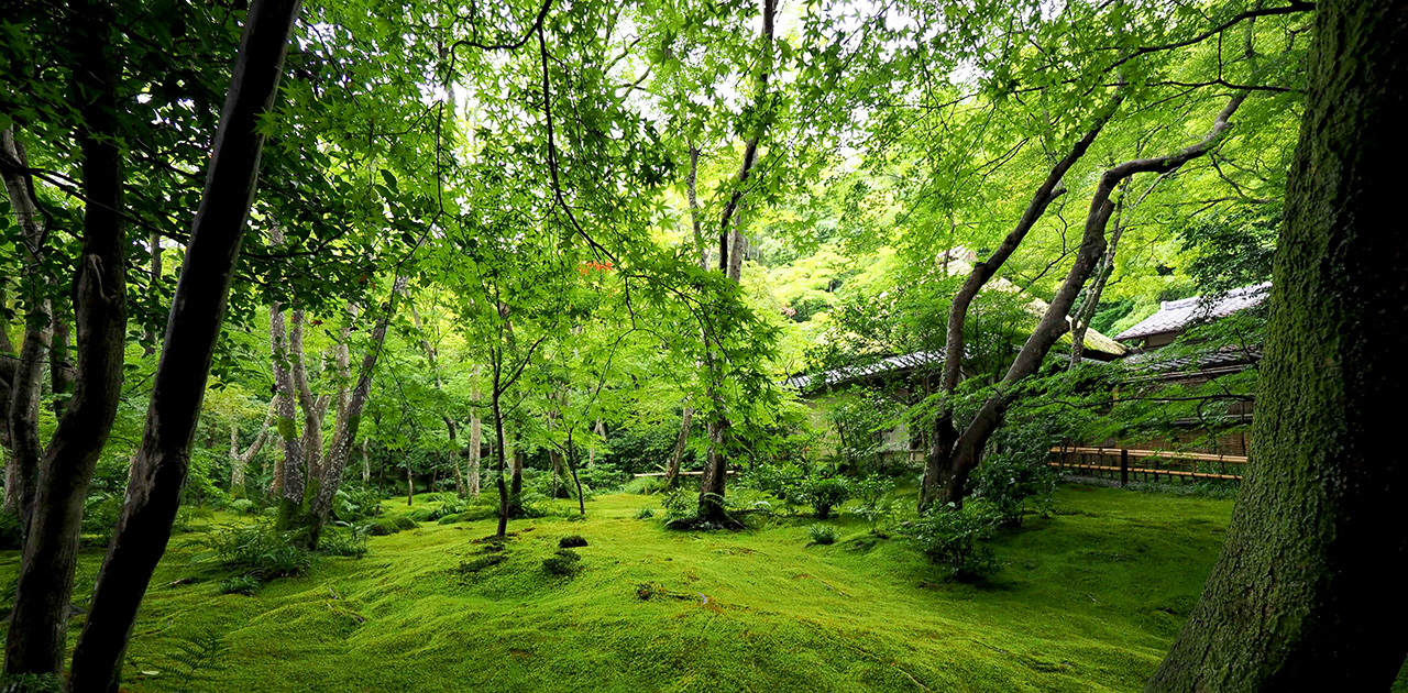 京都一泊二日旅行で和の指輪を満喫